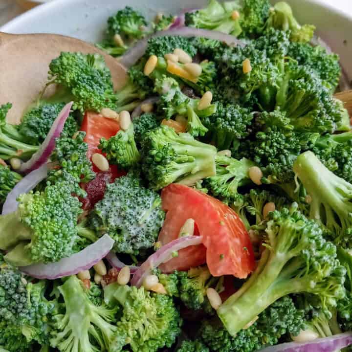 Broccoli salad with fresh broccoli, thinly sliced red onion, and garden ripped tomatoes.