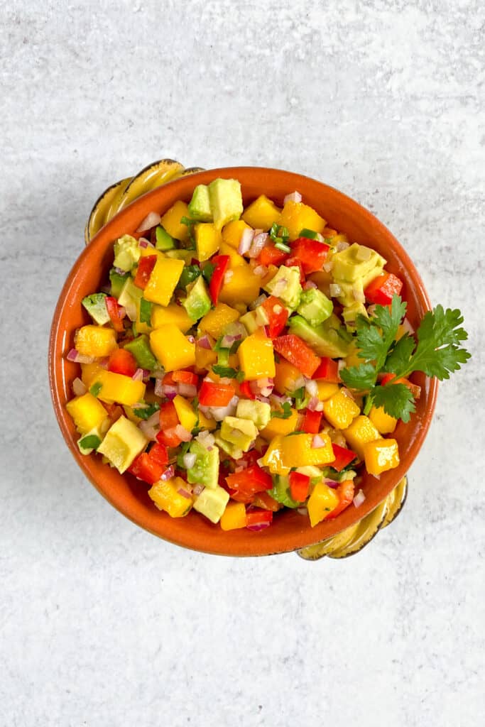 Overhead view of a bowl of Mango Avocado Salsa full of diced ingredients, garnished with a small piece of cilantro.