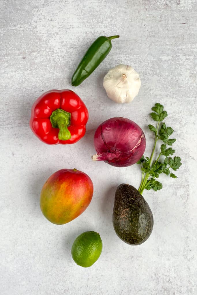 Overhead picture of each ingredient needed to make the salsa: mango, avocado, red pepper, jalapeno pepper, red onion, garlic, cilantro and lime.