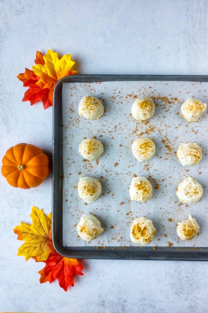 Pumpkin cheesecake balls garnished with graham crackers. 